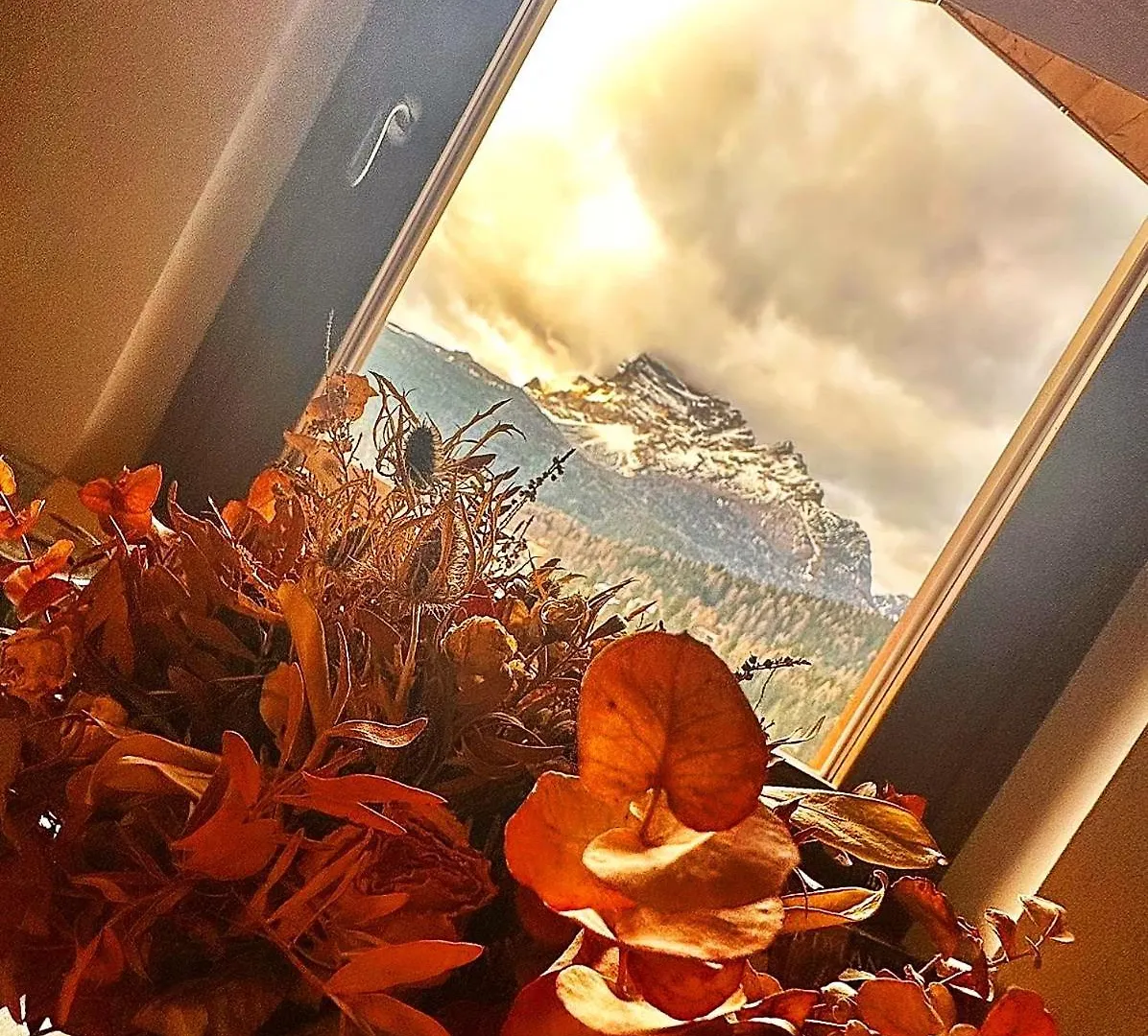 Apartment Appartamenti Codan San Vito di Cadore Italy